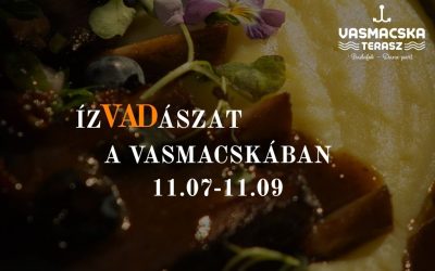 VADAS NAPOk a Vasmacskában