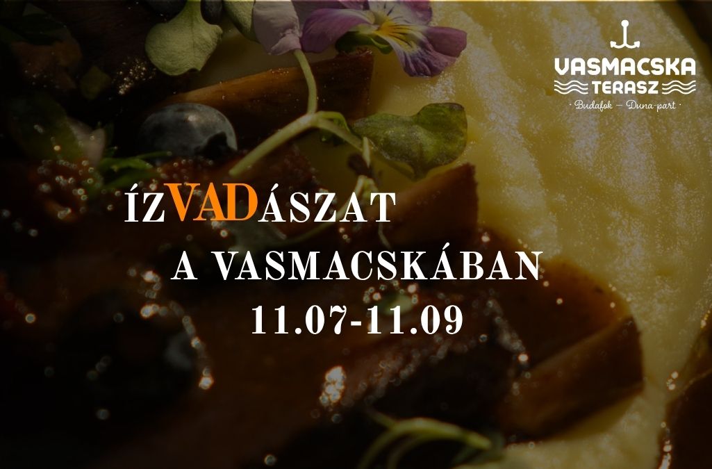 VADAS NAPOk a Vasmacskában